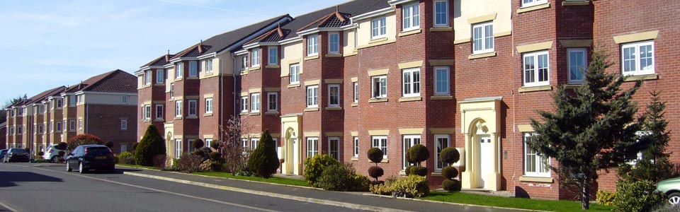 Photo: LSL Estate Management